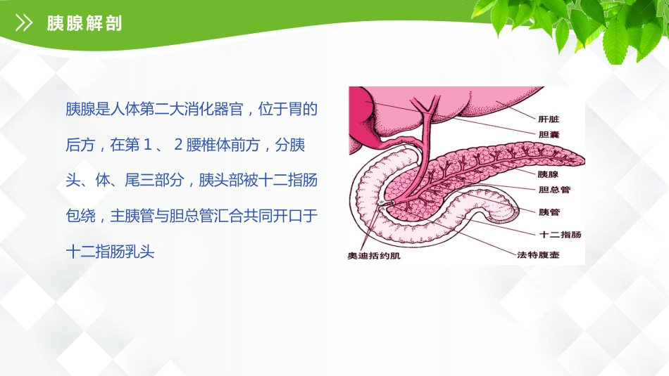 普外科-急性胰腺炎护理查房_第7页