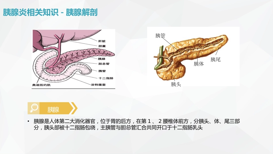 普外科-急性胰腺炎护理查房 (2)_第6页