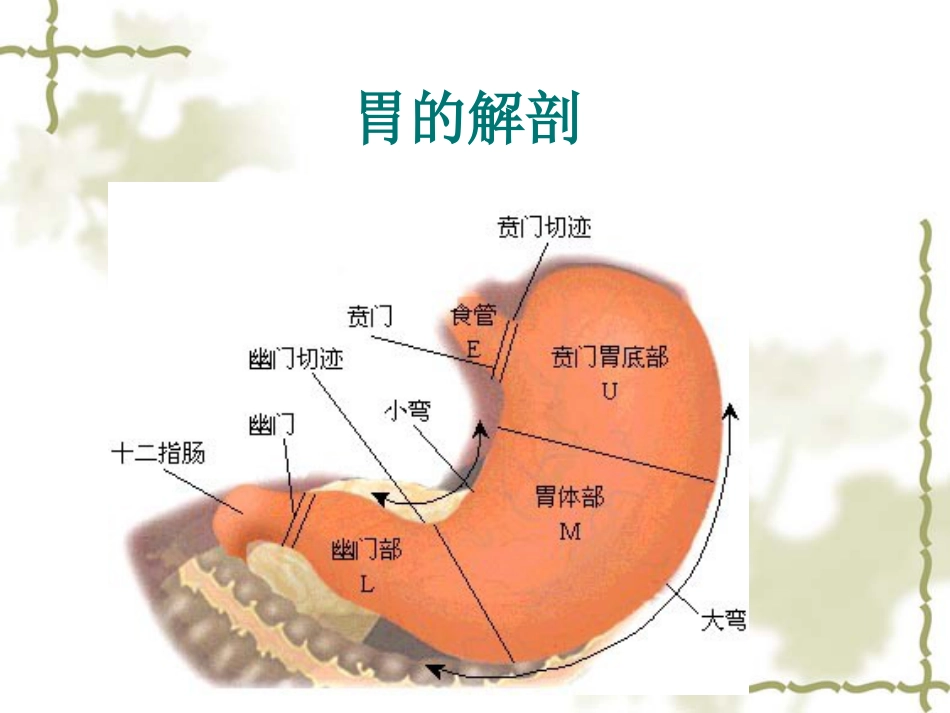 4月腹腔镜胃癌根治术_第5页