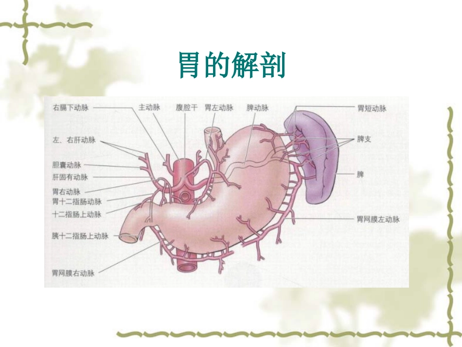 4月腹腔镜胃癌根治术_第6页