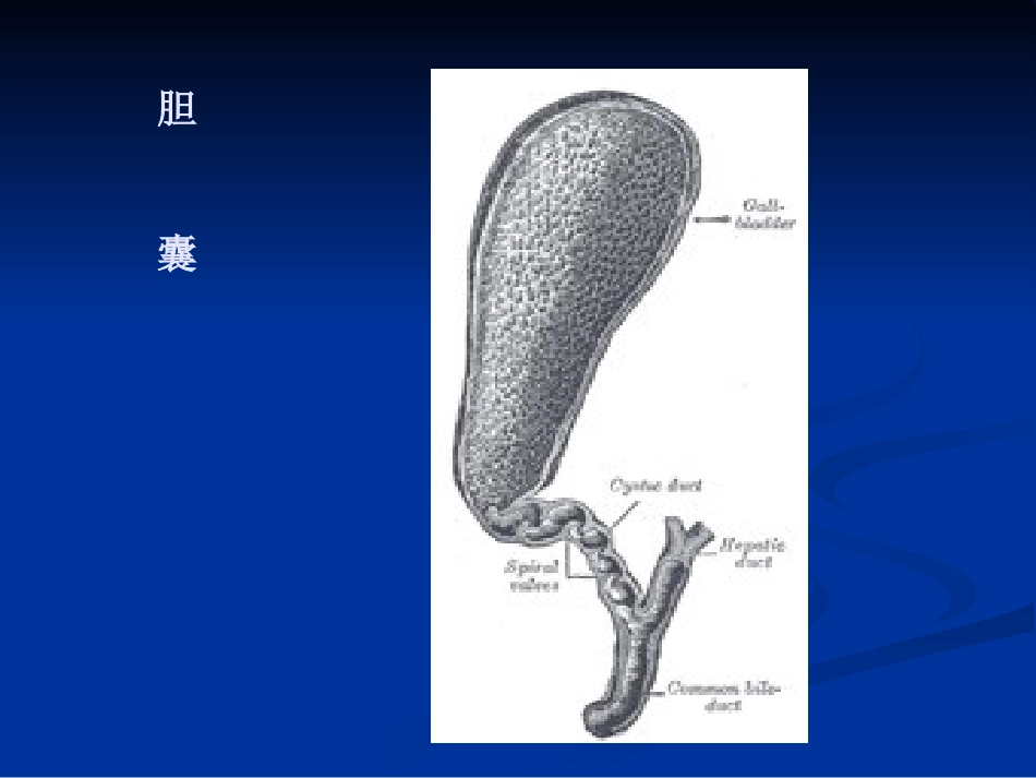 【医学课件】胆道胰腺疾病PPT_第11页