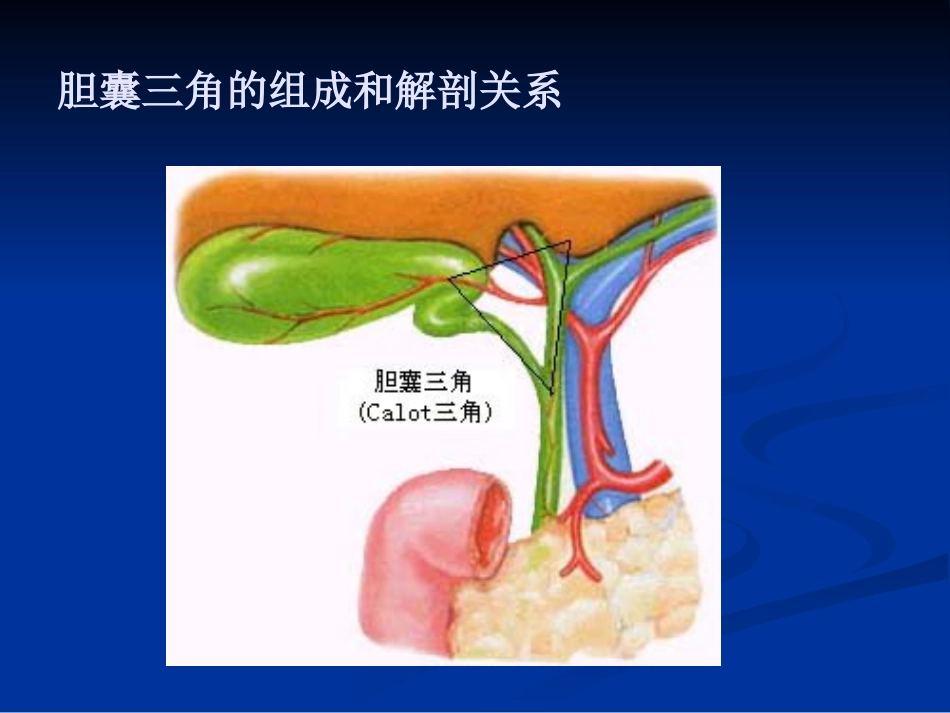 【医学课件】胆道胰腺疾病PPT_第14页