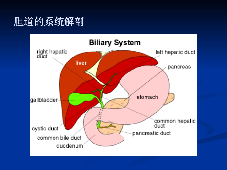 【医学课件】胆道胰腺疾病PPT_第3页