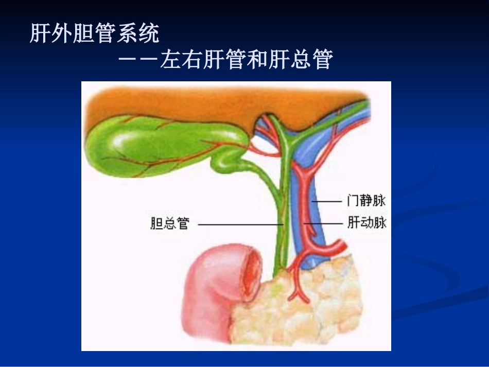 【医学课件】胆道胰腺疾病PPT_第6页