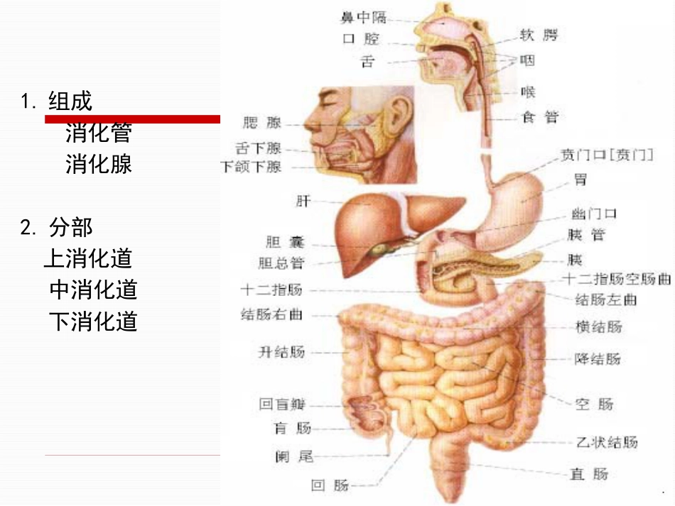 胃食管反流病_第2页