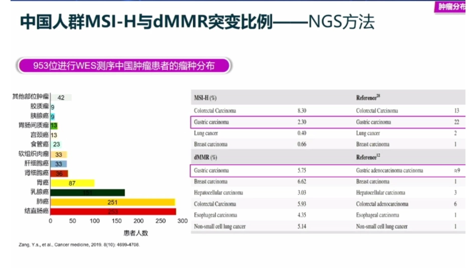 胃癌免疫治疗分子标志物之MSI-H和TMB_第4页