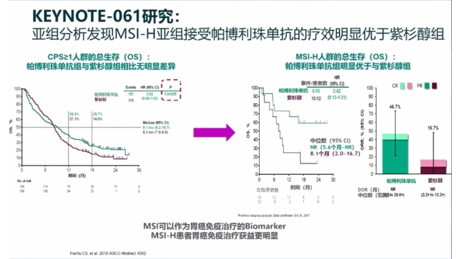 胃癌免疫治疗分子标志物之MSI-H和TMB_第9页