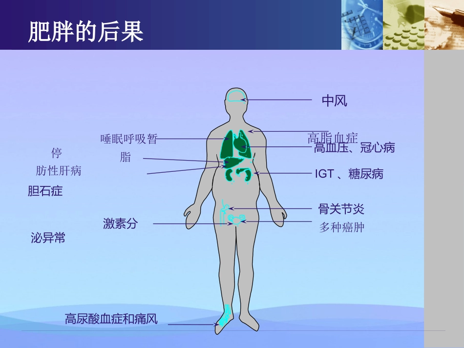 年脂肪肝健康教育资料PPT_第12页