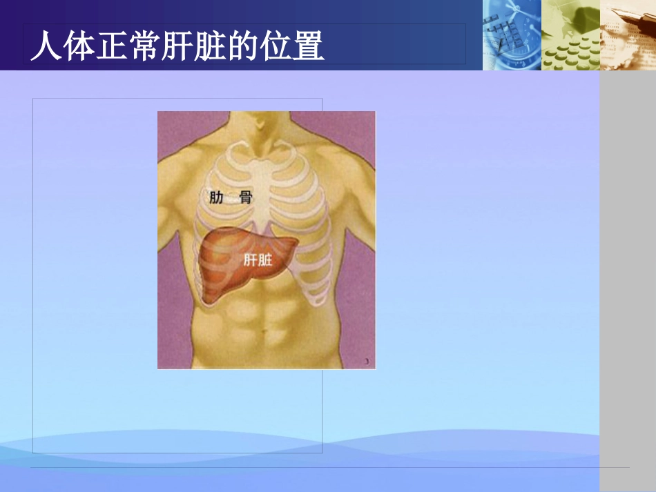 年脂肪肝健康教育资料PPT_第3页