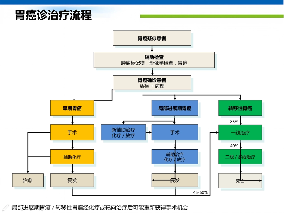 年胃癌诊治策略_第8页
