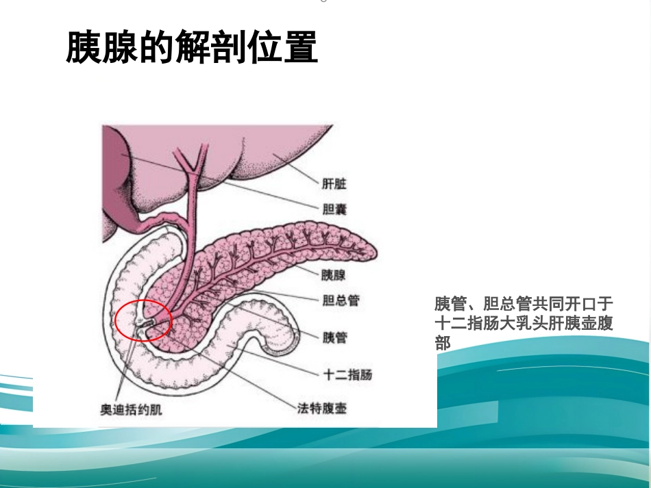 急性胰腺炎的治疗_第4页
