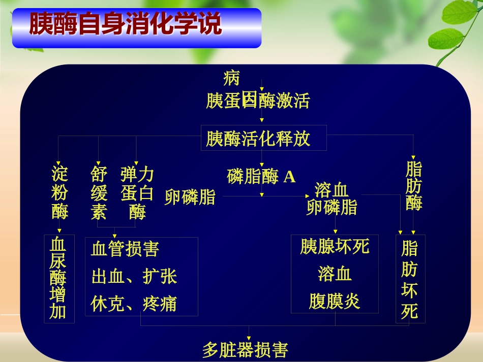 急性胰腺炎_第12页