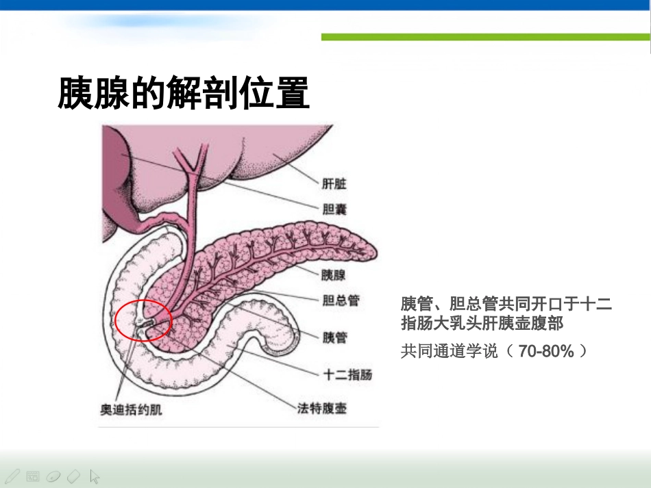 急性胰腺炎(1)_第5页