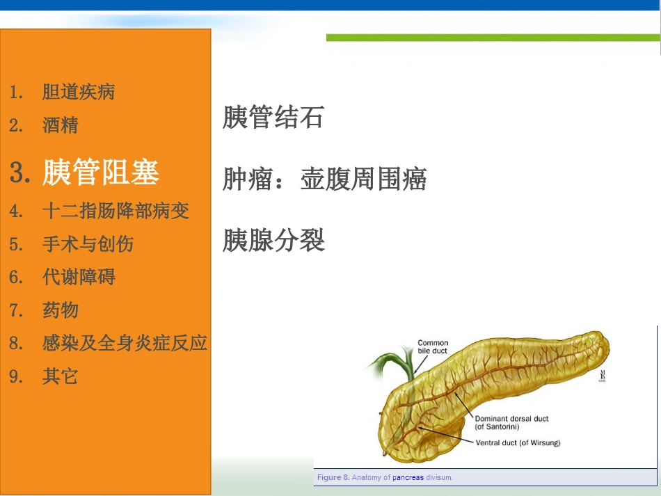 急性胰腺炎(1)_第8页
