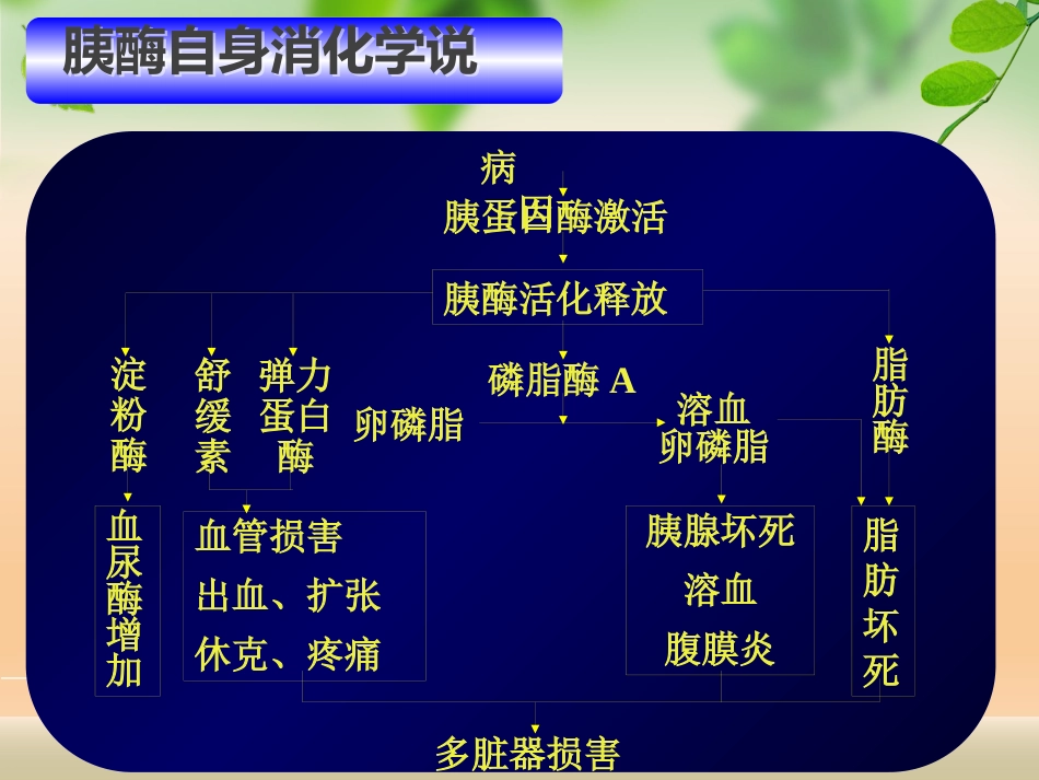 规培讲座急性胰腺炎_第11页