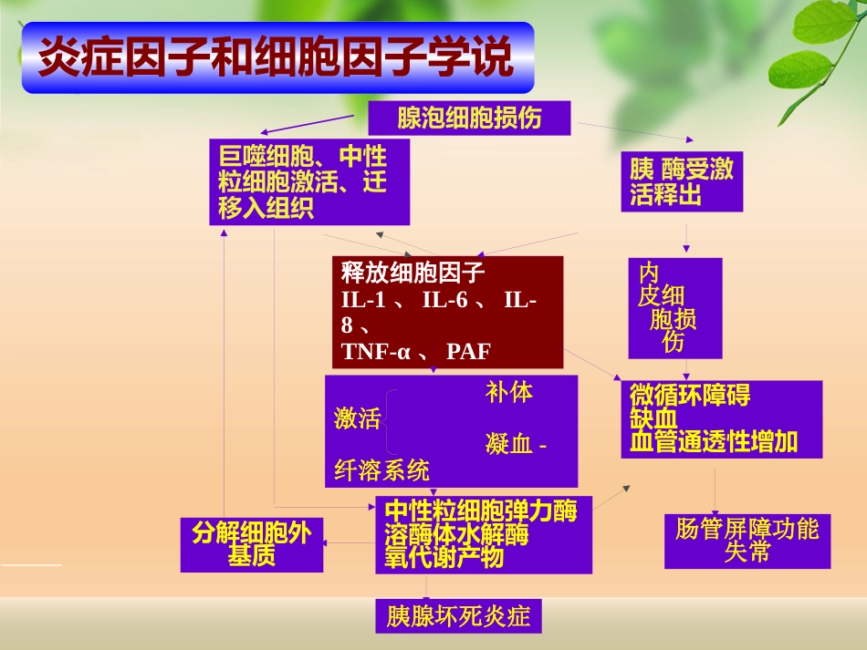 规培讲座急性胰腺炎_第12页
