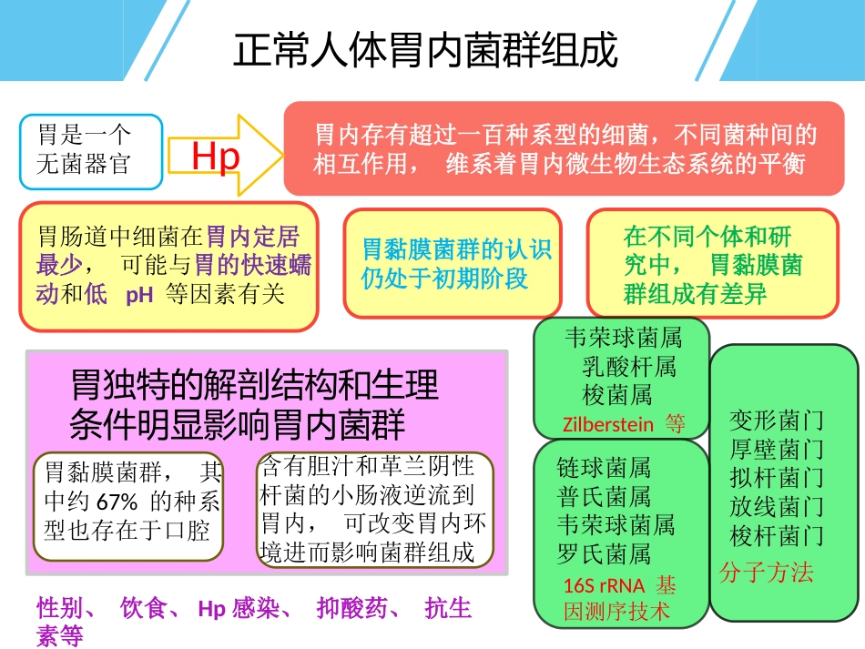Hp与胃癌_第10页