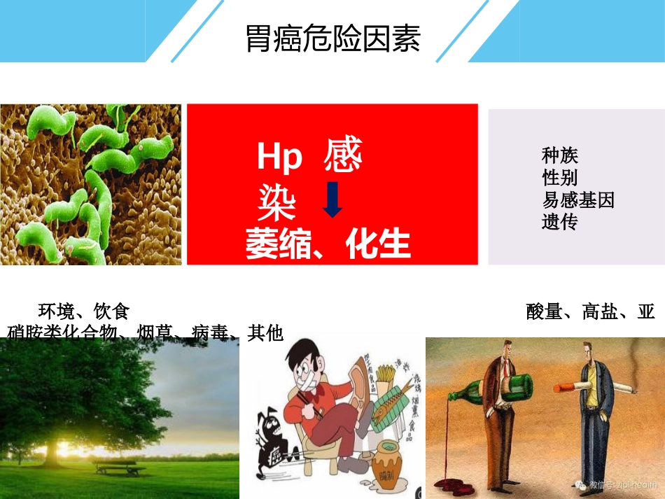 Hp与胃癌_第3页