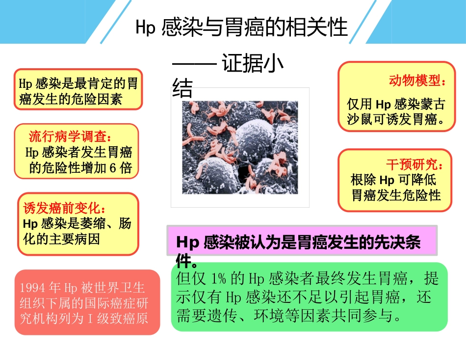 Hp与胃癌_第4页