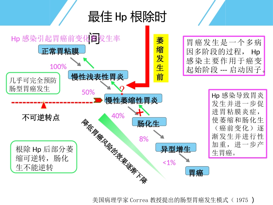 Hp与胃癌_第8页