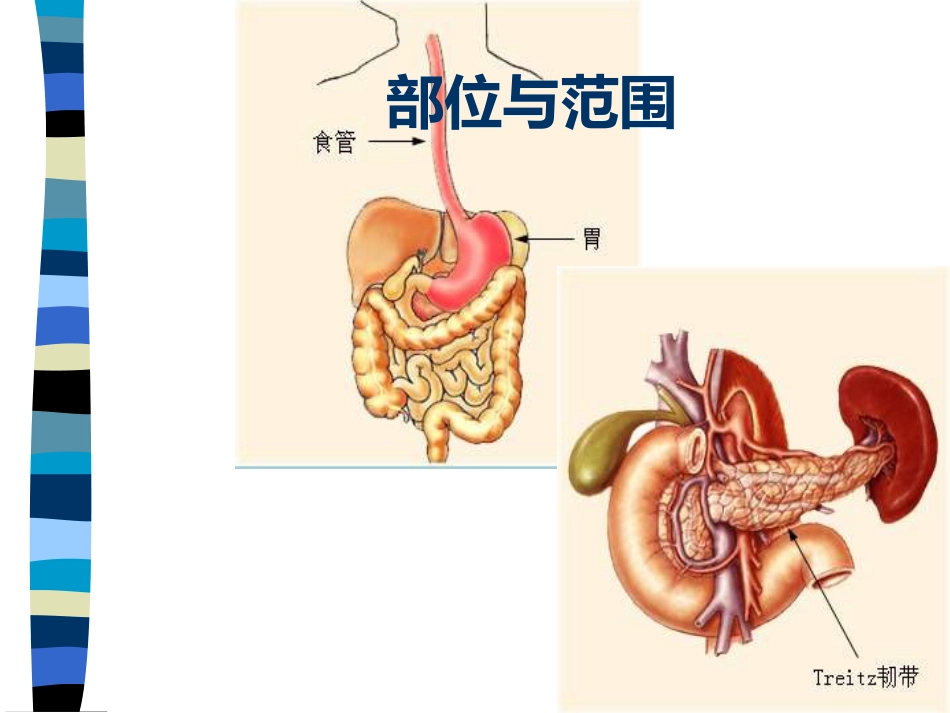 AA老年人上消化道出血_第3页
