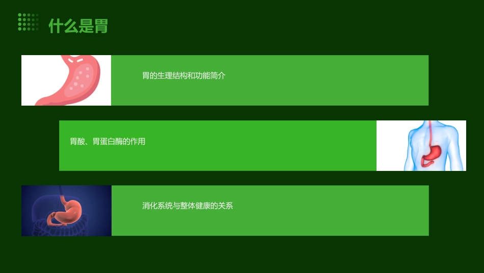 保护胃ppt课件_第5页
