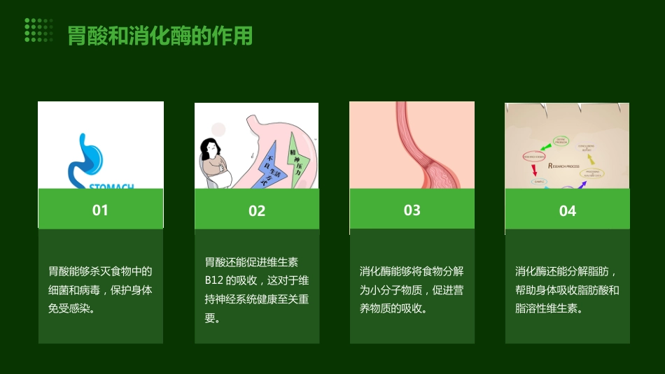 保护胃ppt课件_第9页