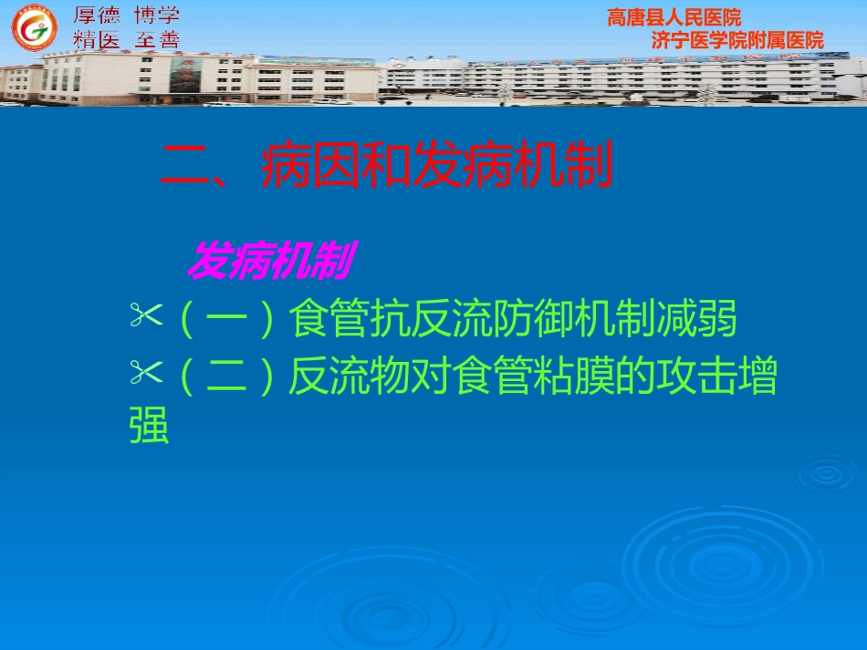 版内科 胃食管反流病_第10页