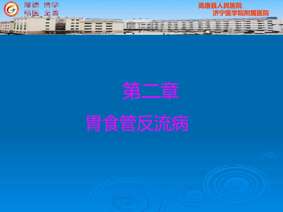 版内科 胃食管反流病_第2页