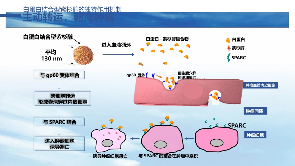 白蛋白紫杉醇在晚期胃癌中的应用_第6页