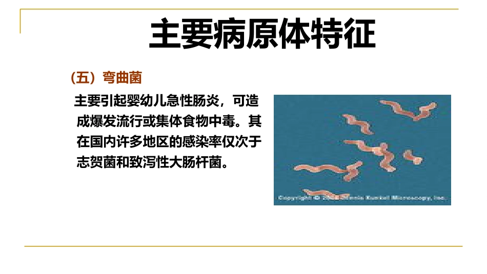XX感染性腹泻诊疗方案_第10页
