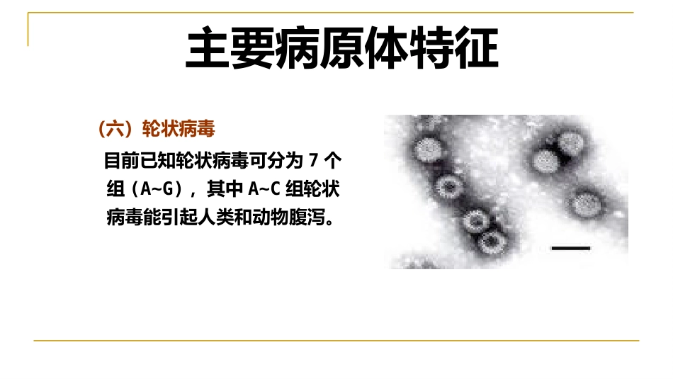 XX感染性腹泻诊疗方案_第11页