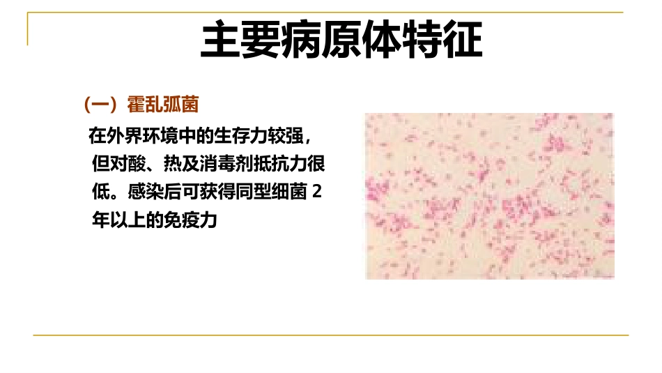 XX感染性腹泻诊疗方案_第6页