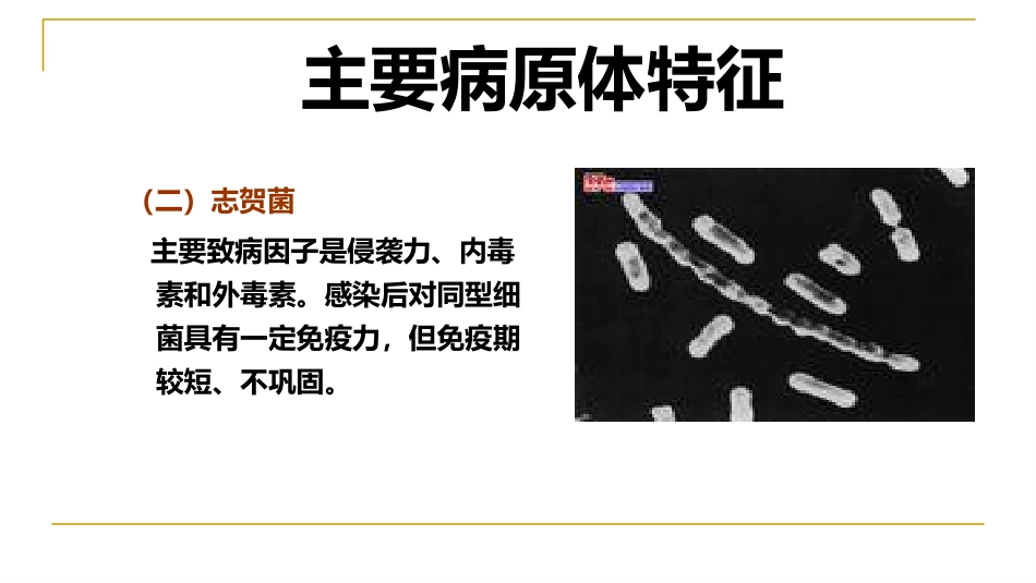 XX感染性腹泻诊疗方案_第7页