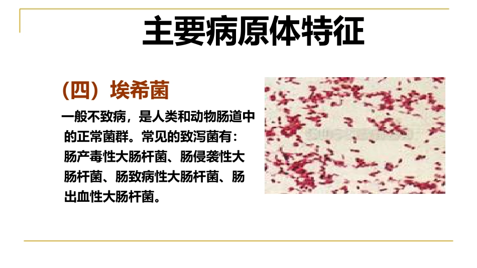 XX感染性腹泻诊疗方案_第9页