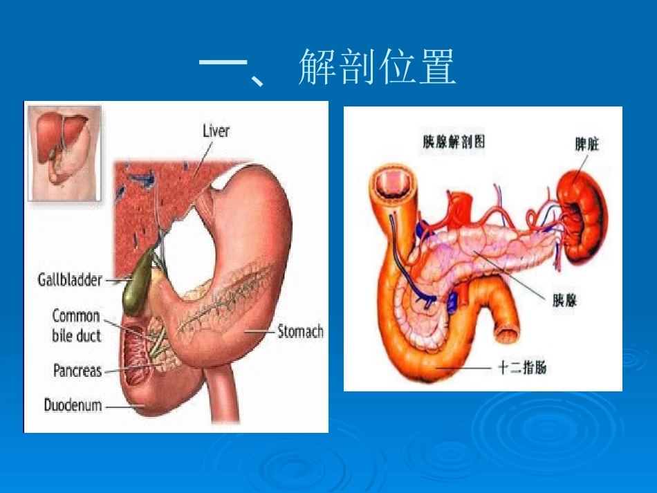 OK急性胰腺炎PPT示范_第3页