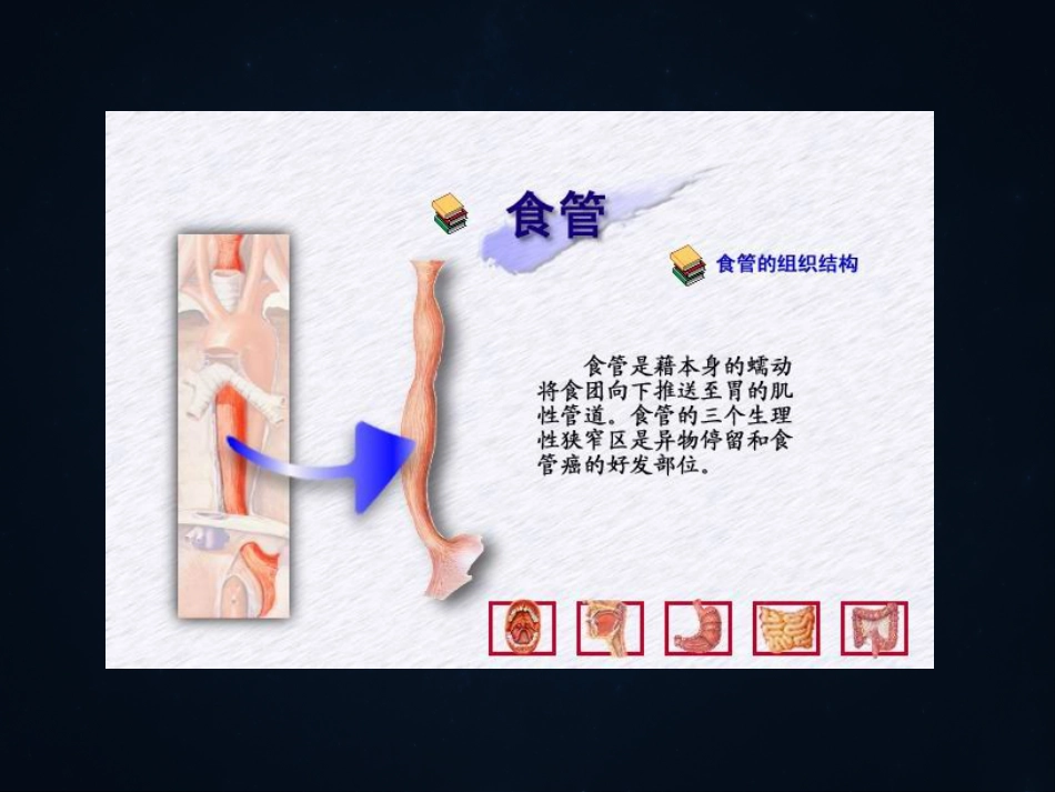 《食管疾病》ppt课件_第5页