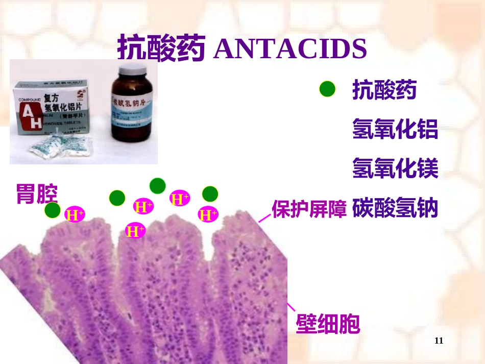消化系统疾病概述及常用药物_第11页