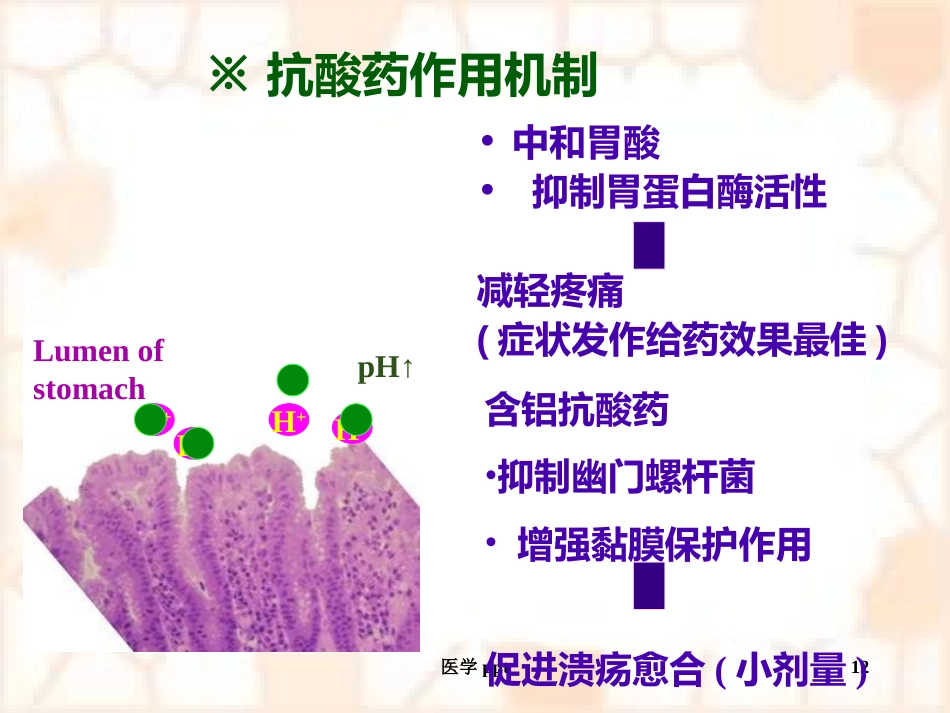 消化系统疾病概述及常用药物_第12页