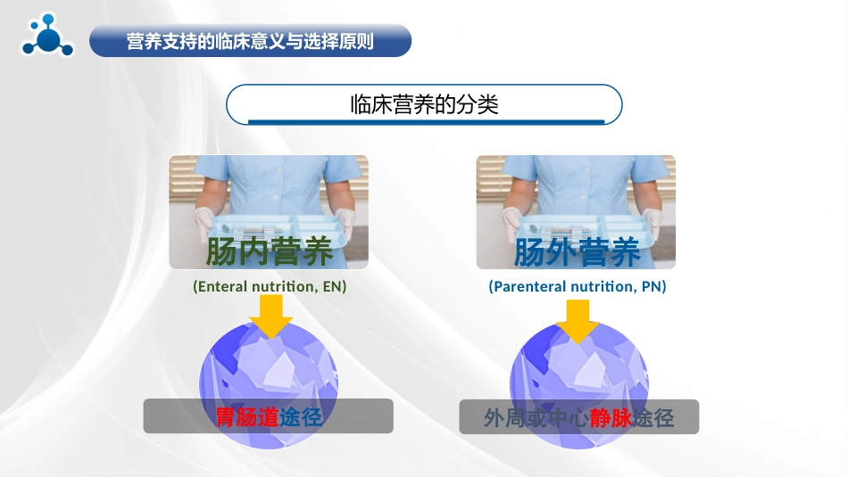 水解蛋白口服溶液_第7页