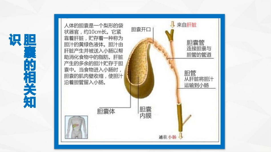 一例急性胆囊炎的护理查房_第4页