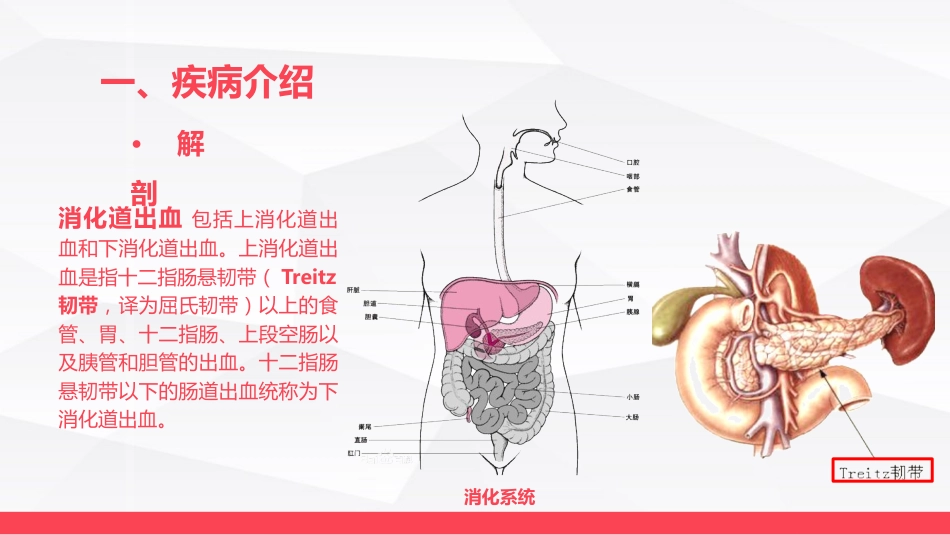 消化道大出血的急救与护理_第4页