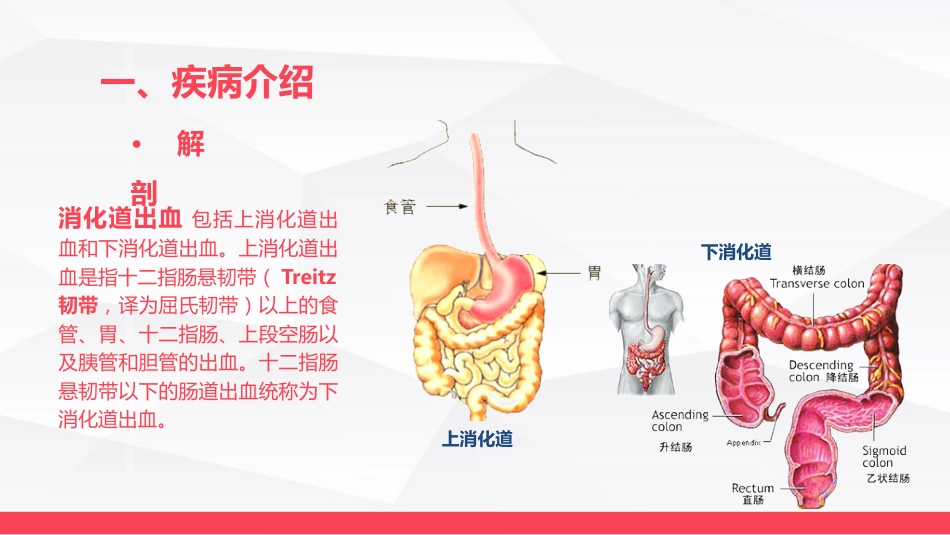 消化道大出血的急救与护理_第5页