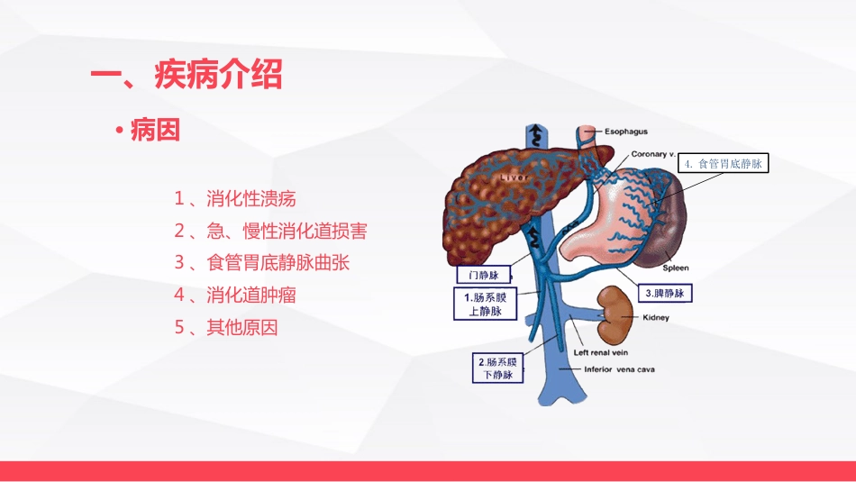 消化道大出血的急救与护理_第7页