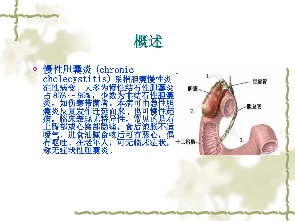 慢性胆囊炎患者的护理查房_第2页
