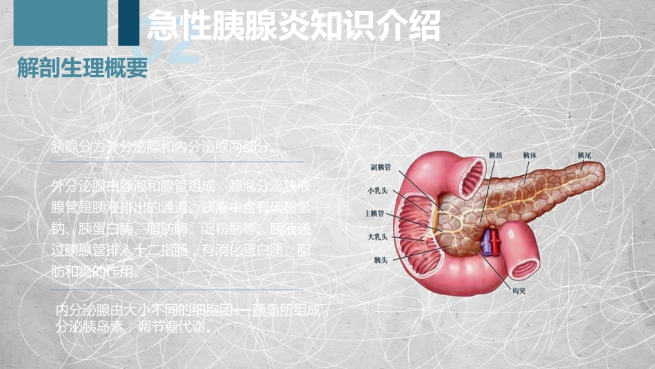 急性胰腺炎护理查房-2_第8页