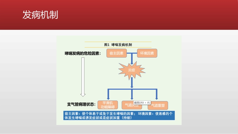 支气管哮喘急性发作患者的处置_第9页