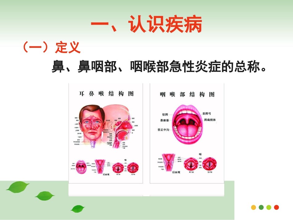 医学专题急性上呼吸道感染的用药指导_第4页