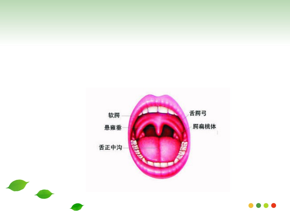 医学专题急性上呼吸道感染的用药指导_第7页