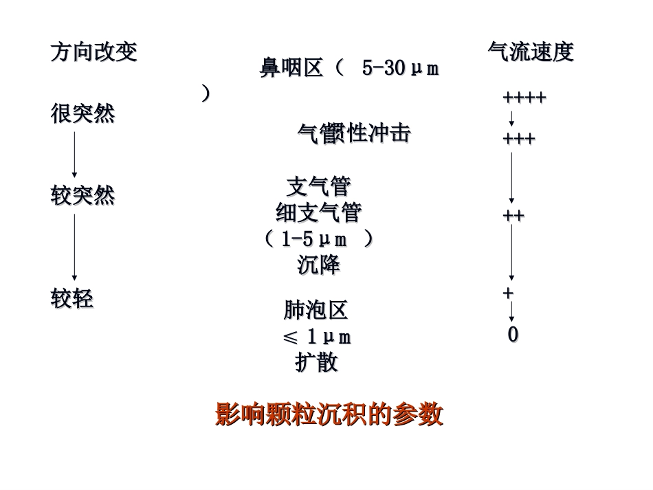 药物对呼吸系统的毒性作用PPT课件_第12页
